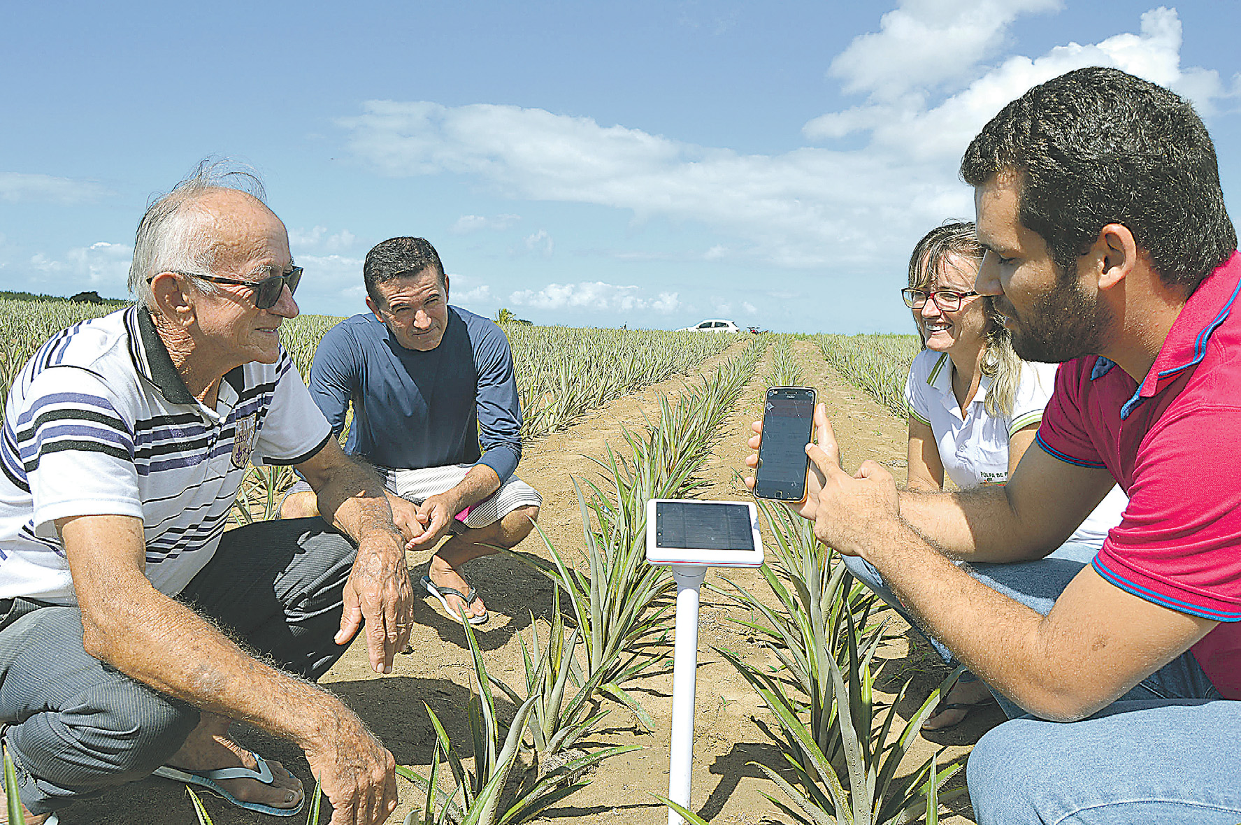 Manoel Marques e os filhos, com o engenheiro agrônomo Antônio Franco (camisa vermelha): boletim no celular. (Foto: Alessandro de Paula)