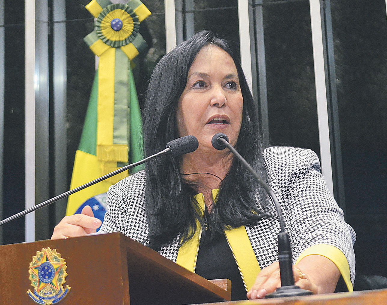 Senadora Rose de Freitas (foto: Agência Senado)