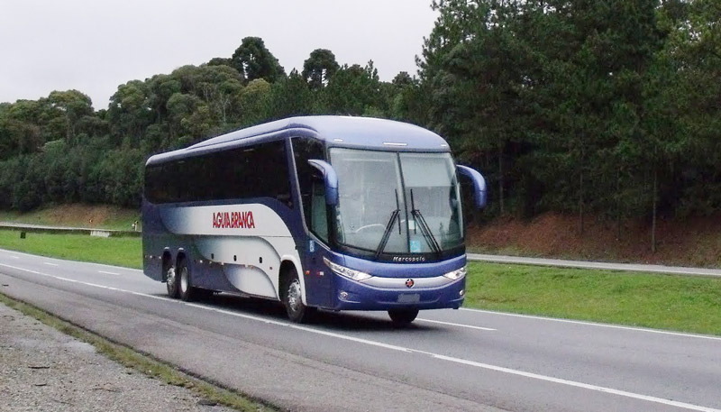 Ônibus da Viação Águia Branca (Foto: Divulgação)