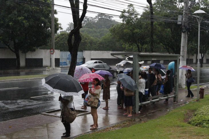 (Foto: Reprodução )