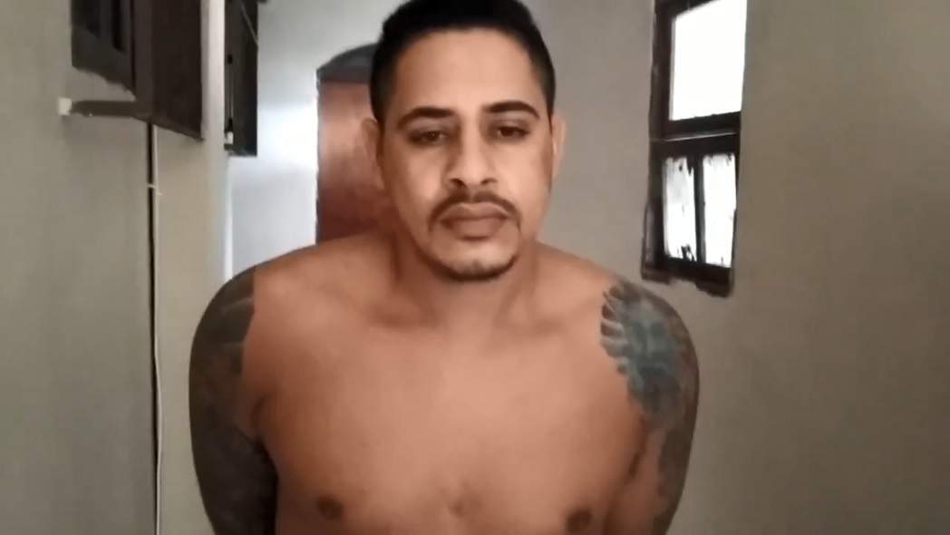 (Foto: Reprodução )