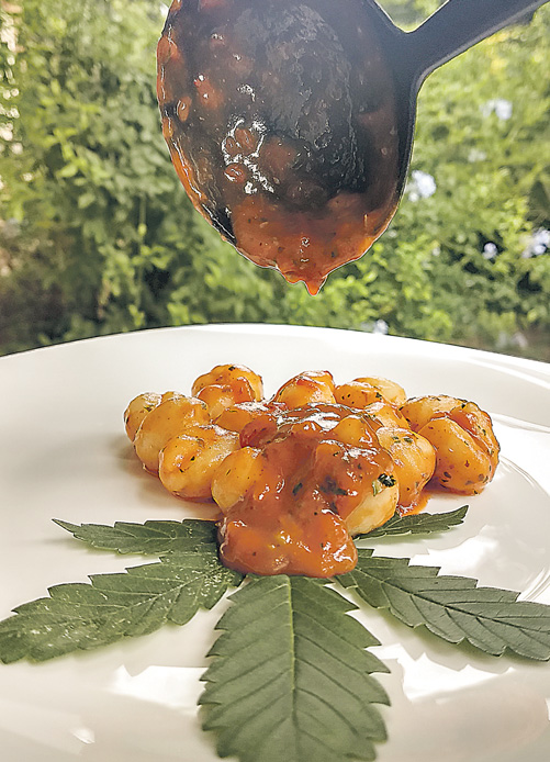 O nhoque ao molho Sugo infusionado com cannabis e folhas de cannabis como tempero é um dos pratos de sucesso de Gustavo. (Foto: Divulgação)