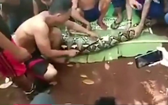 (Foto: Divulgação)