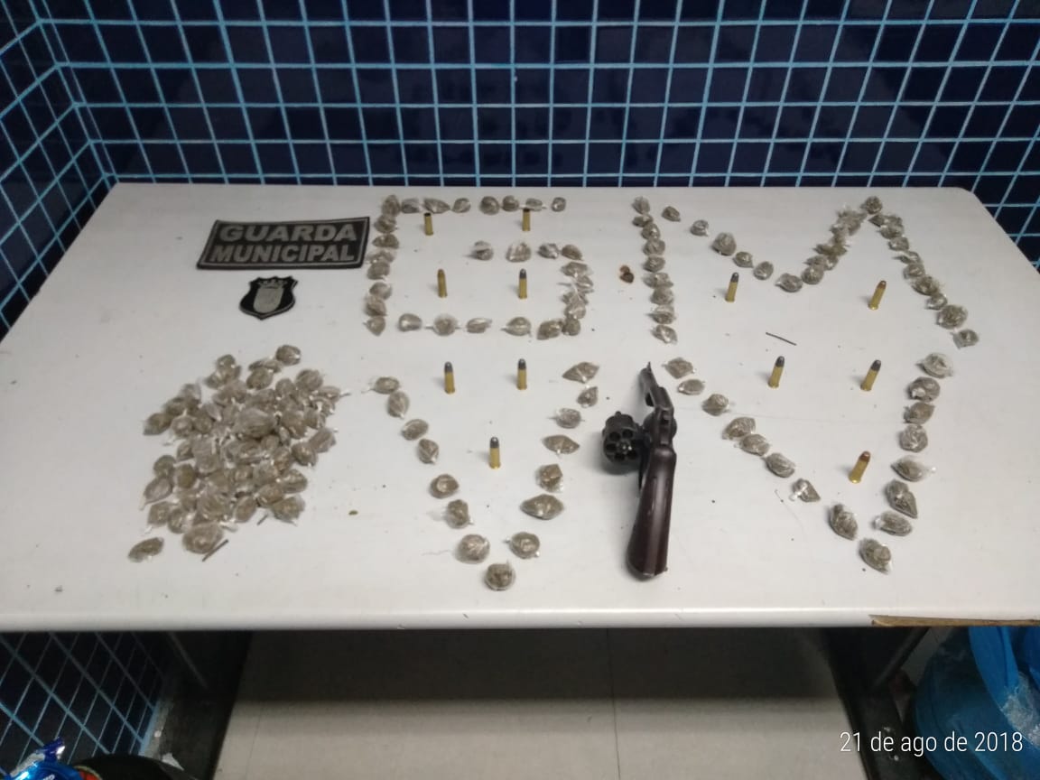 Apreensão no bairro Vale Encantado, em Vila Velha (Foto: Guarda Municipal de Vila Velha)