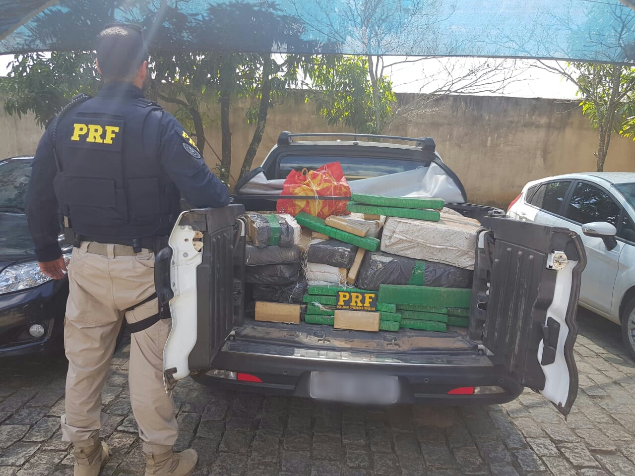 Maconha apreendida no Sul do Estado (Foto: Divulgação )