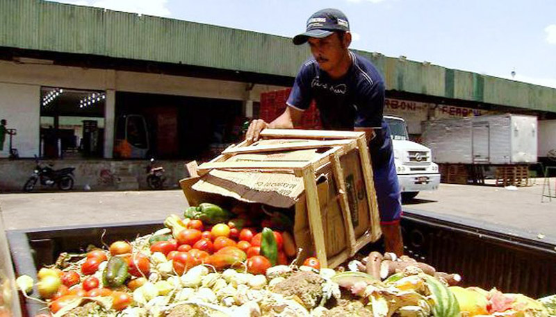 Maior parte das perdas ocorre no processo de manuseio e transporte dos alimentos (Foto: TV Brasil/Divulgação)