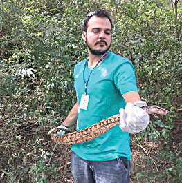 (Foto: Divulgação/PMV)