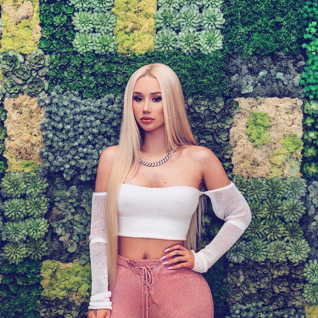 A cantora Iggy Azalea (Foto: Reprodução/ Instagram)
