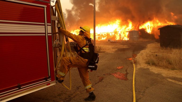 Bombeiros atuam no combate às chamas (Foto: Reprodução)