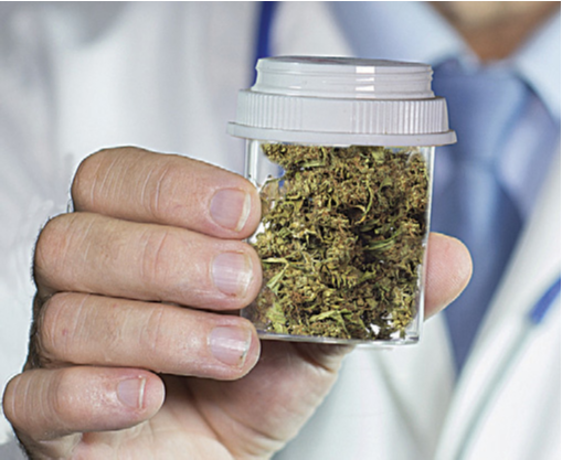 Maconha: uso medicinal (Foto: Divulgação)