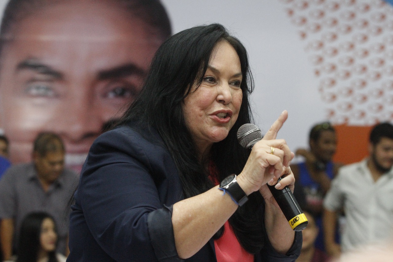 Senadora Rose de Freitas irá presidir a CPI (Foto: A Tribuna)