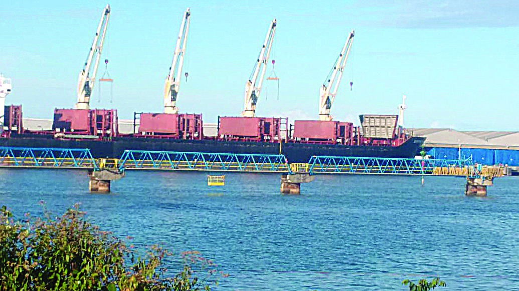 Estivadores passaram mal enquanto tiravam toras de eucalipto do porão do navio. (Foto: Divulgação)