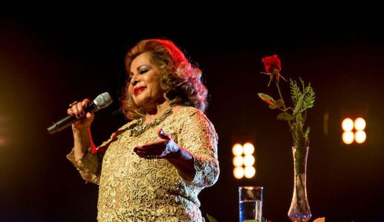 Cantora estava internada há 34 dias. (Foto: Divulgação)