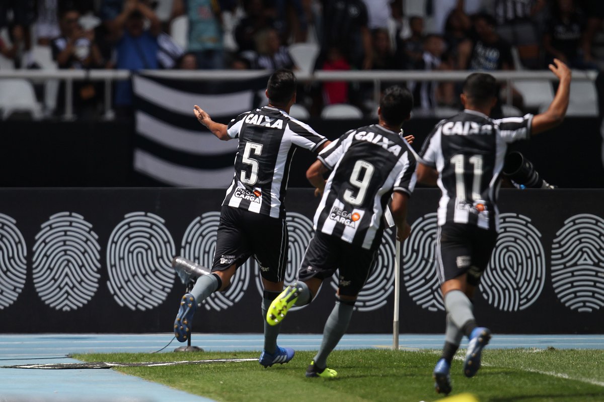 O Botafogo chegou ao 13º lugar, com 29 pontos (Foto: Reprodução/ Twitter)