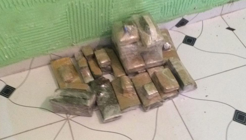 Drogas apreendidas pela Polícia Federal (Foto: Divulgação / PF)