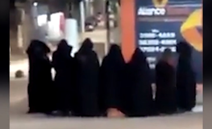 (Foto: Reprodução/Vídeo )