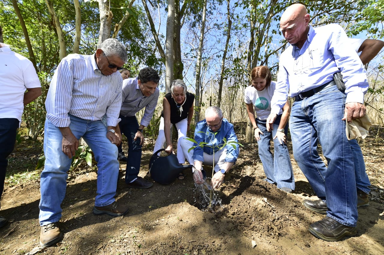 Hartung planta muda (Foto: Leonardo Duarte / Secom)