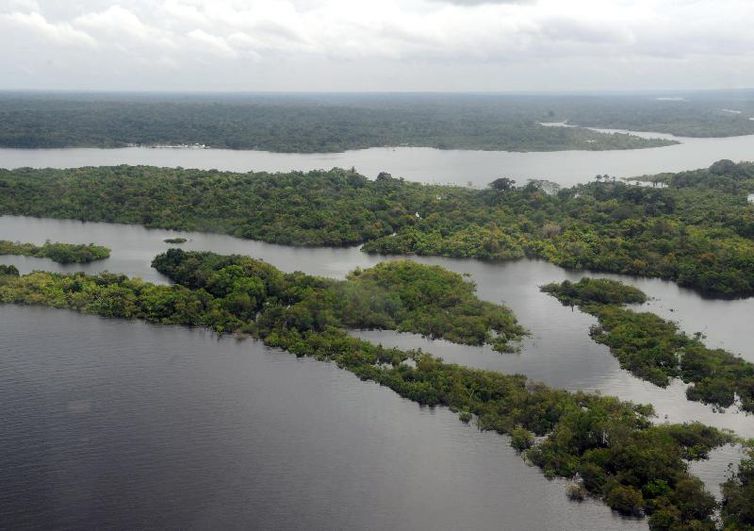 Trecho da Amazônia (Foto: Arquivo/Valter Campanato/Agência Brasil)