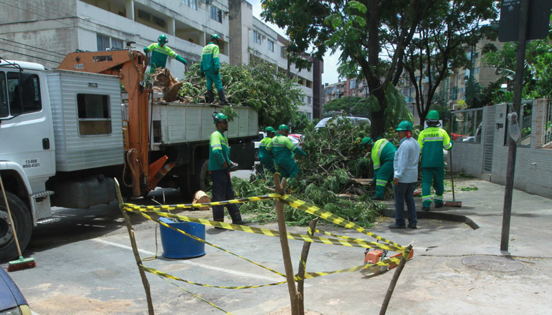 Equipes da Prefeitura de Vitória retiram restos da árvore em Jardim Camburi (Foto: Dayana Souza / AT)