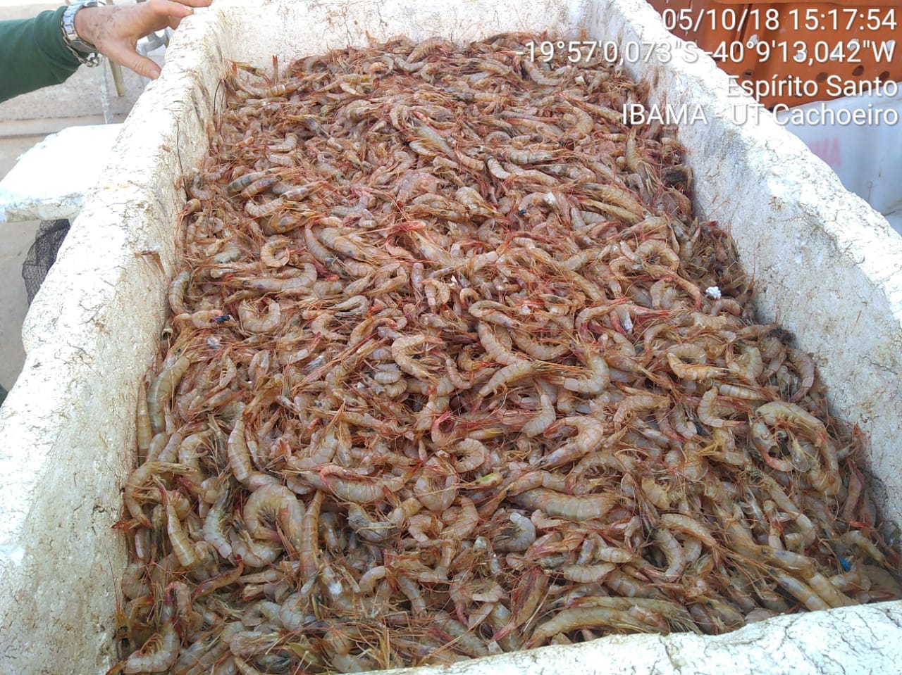 (Foto: Divulgação/PMES)