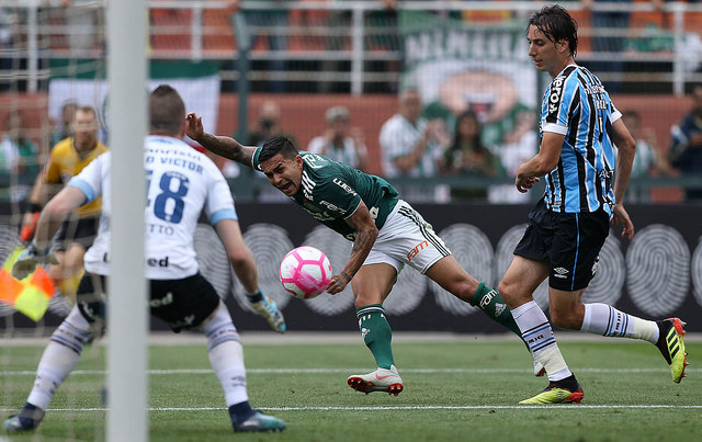 Palmeiras de Dudu venceu o Grêmio e uma das finais do Brasileirão por pontos corridos (Foto: Ag. Palmeiras)