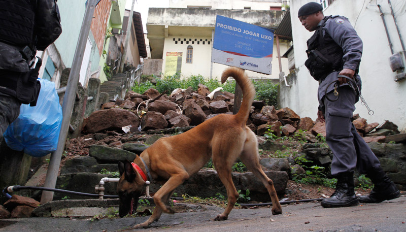 Com o auxílio de cães farejadores, a polícia encontrou os suspeitos (Foto: Fábio Nunes / AT - 31/10/2018)