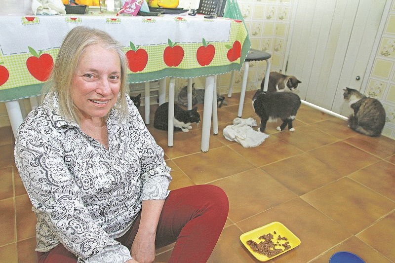 Elizabeth cria 20 gatos em casa (Foto: Dayana Souza/AT)