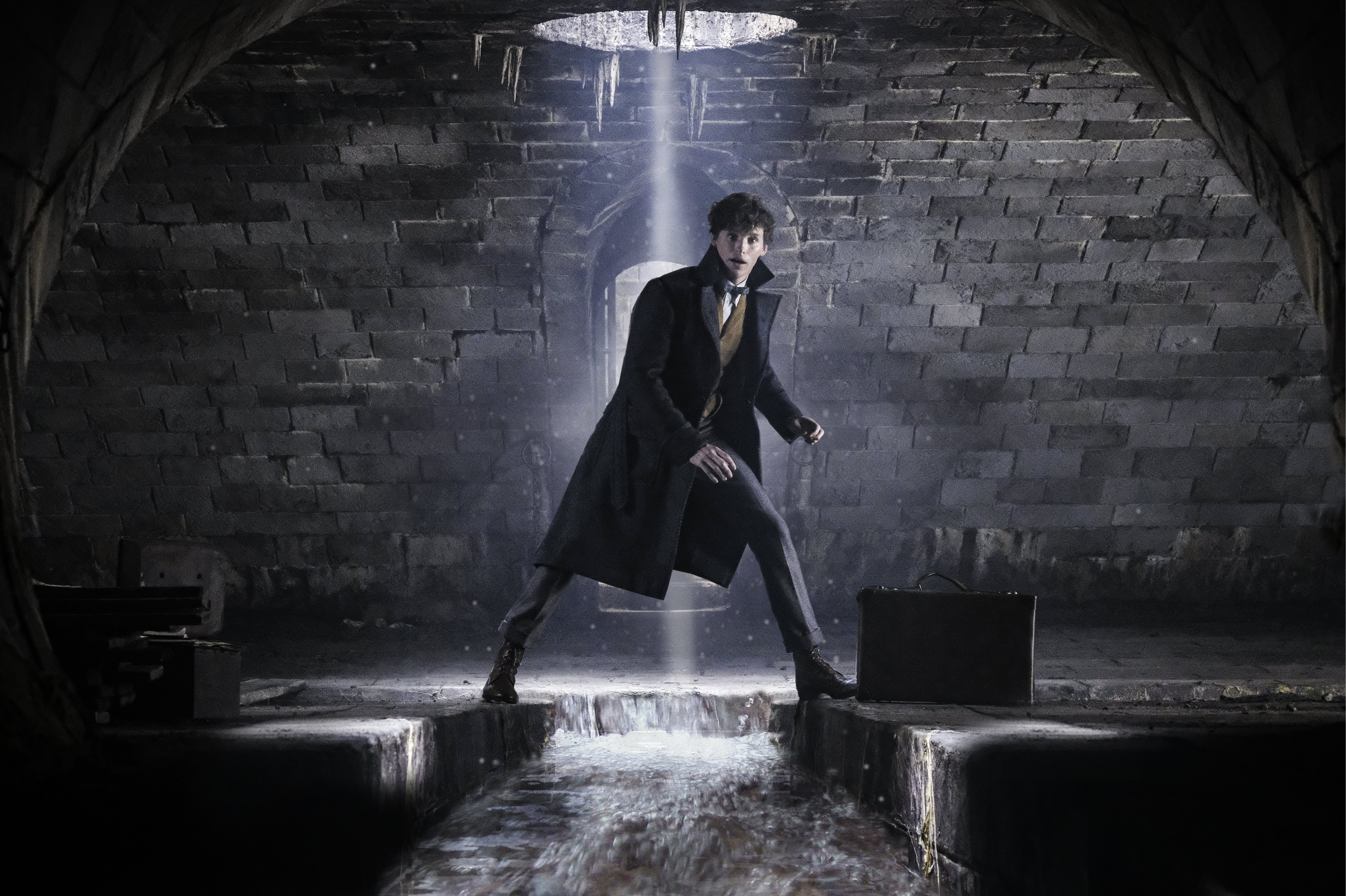  (Foto: Jaap Buitendijk/Divulgação/Animais Fantásticos: Os Crimes de Grindelwald”)