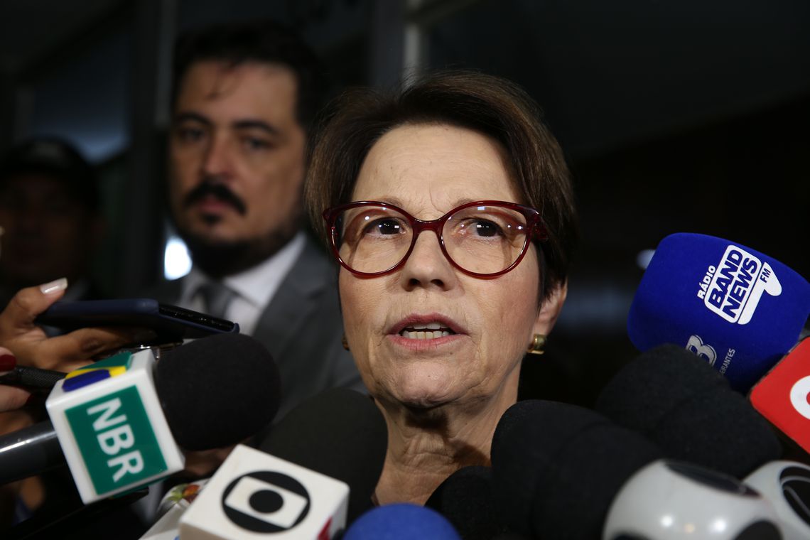 A deputada federal Tereza Cristina (DEM-MS) foi confirmada para o Ministério da Agricultura. (Foto: Antonio Cruz/Agência Brasil)