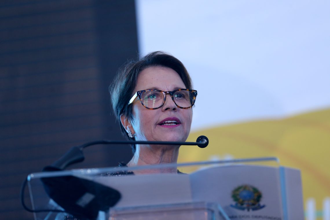 A ministra da Agricultura, Tereza Cristina (Foto: Wilson Dias/ Agência Brasil)