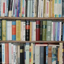 Imagem ilustrativa da imagem Maioria das escolas não tem biblioteca adequada