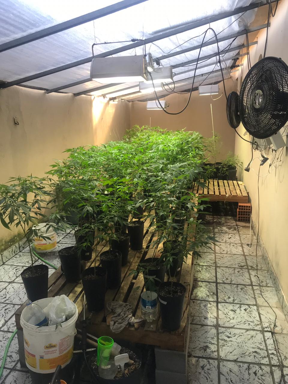 Casa onde polícia encontrou os vasos (Foto: Divulgação/ Polícia Militar)