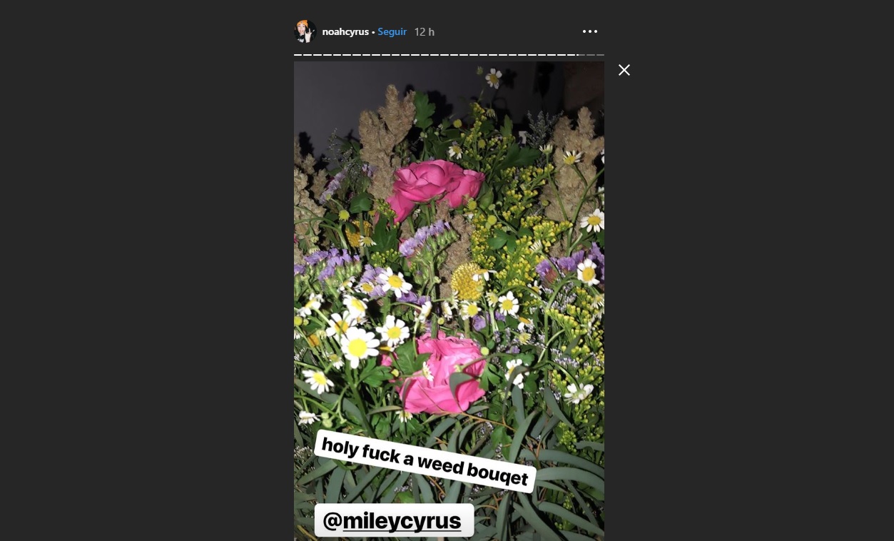 A jovem compartilhou uma foto do buquê na rede social. (Foto: Reprodução/Instagram @noahcyrus)