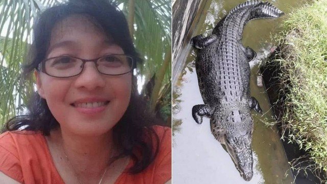 A cientista Deasy Tuwo, de 44 anos, junto com o crocodilo Marry (Foto: Reprodução)