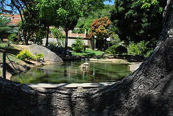 Parque Municipal de Tabuazeiro (Foto: Divulgação/Carlos Antolini)
