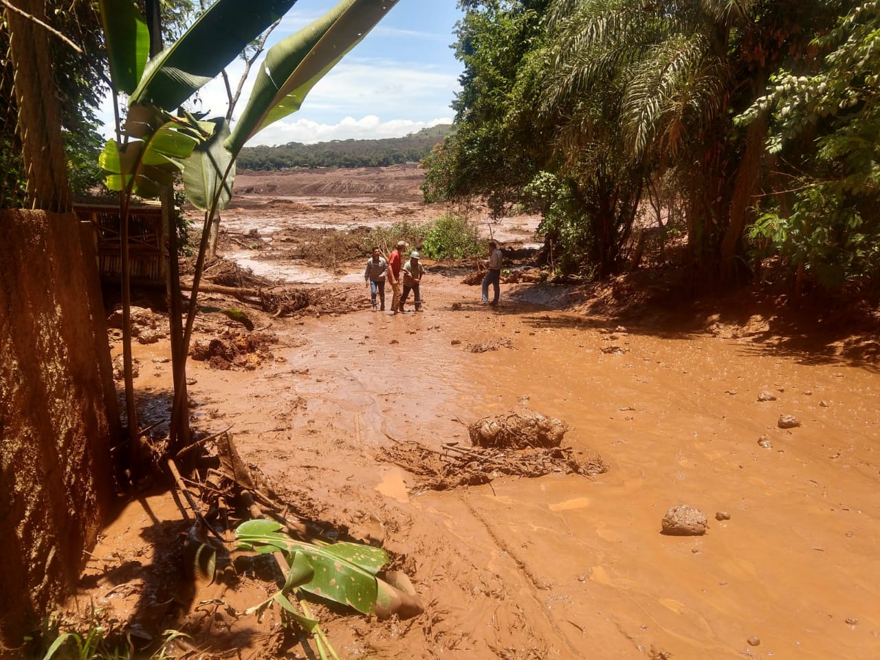 Barragem de Mina Feijão se rompeu no final da manhã desta sexta-feira (25). (Foto: Internauta)