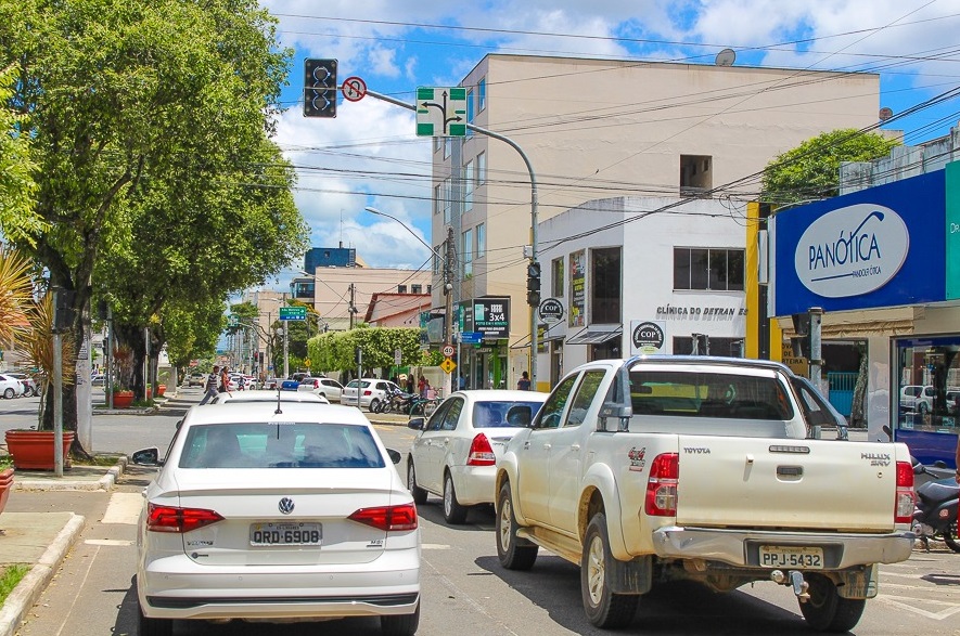 A retirada da família de papagaios será feita nos próximos dias pelos técnicos da secretaria municipal de Meio Ambiente (Foto: Felipe Reis)