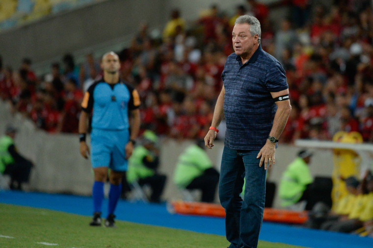 Abel Braga, técnico do Flamengo (Foto: Alexandre Vidal/Flamengo)