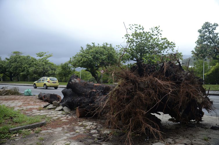 Chuva atinge o Rio de Janeiro (Foto: Tânia Rêgo/Arquivo Agência Brasil)