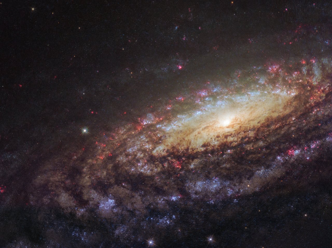 (Foto: Nasa)