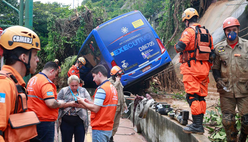 Uma árvore caiu sobre um ônibus na capital fluminense (Foto: Tânia Rêgo/Agência Brasil )