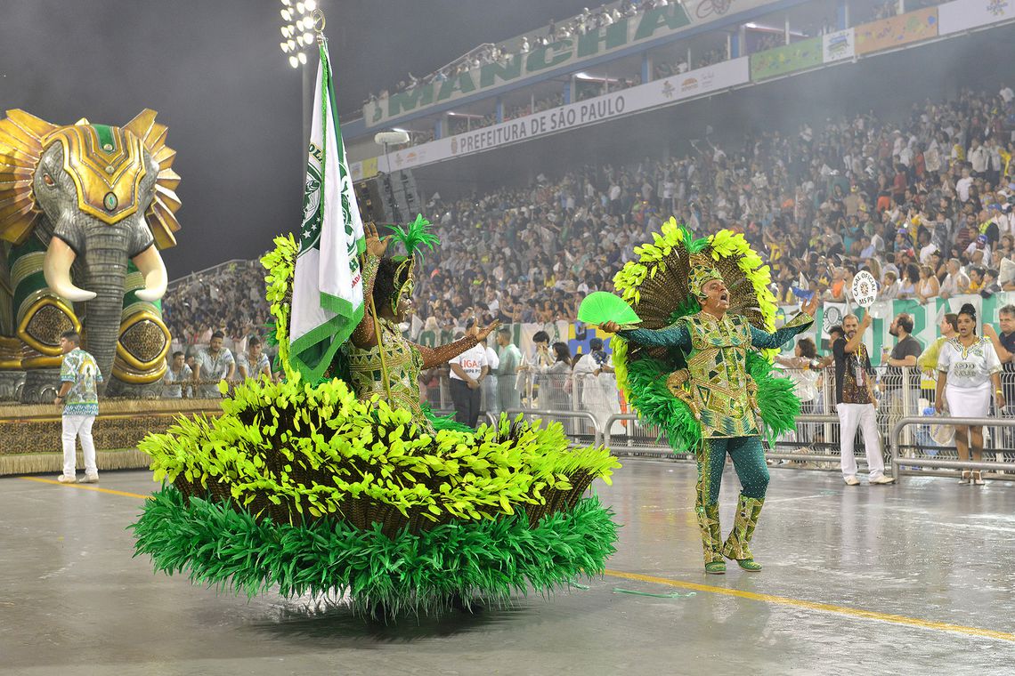 Desfile da Mancha Verde, escola campeã de 2019 (Foto: Marcelo Messina/Liga escolas de Samba SP)