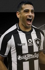 Diego Souza (Foto: Reprodução/Site oficial do Botafogo)