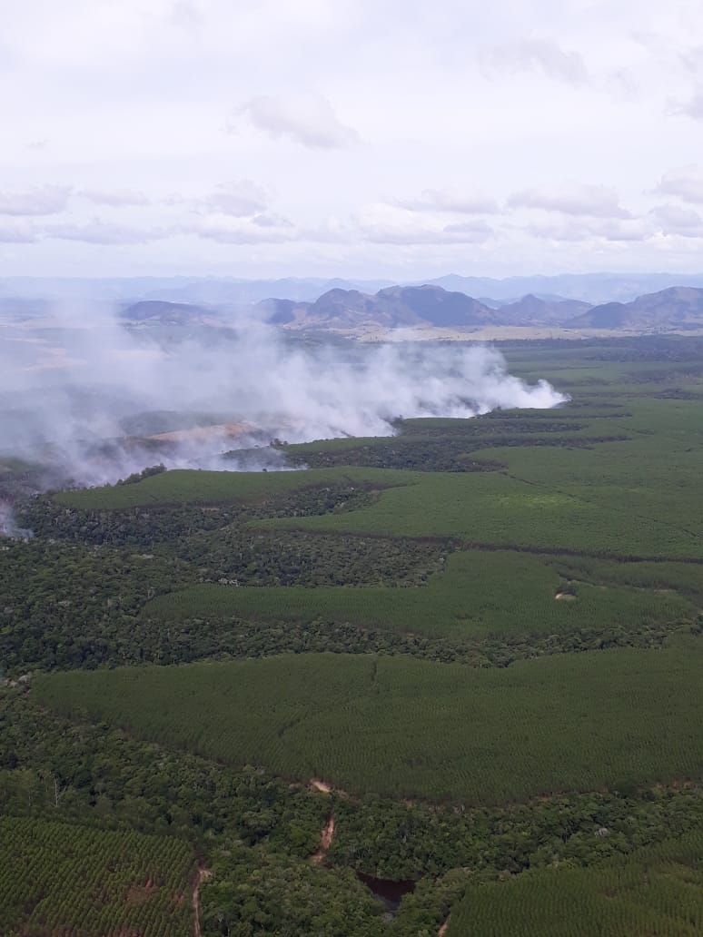 Bombeiros sobrevoaram a região do foco de incêndio em Aracruz. (Foto: Divulgação Sesp - 2/3/19)