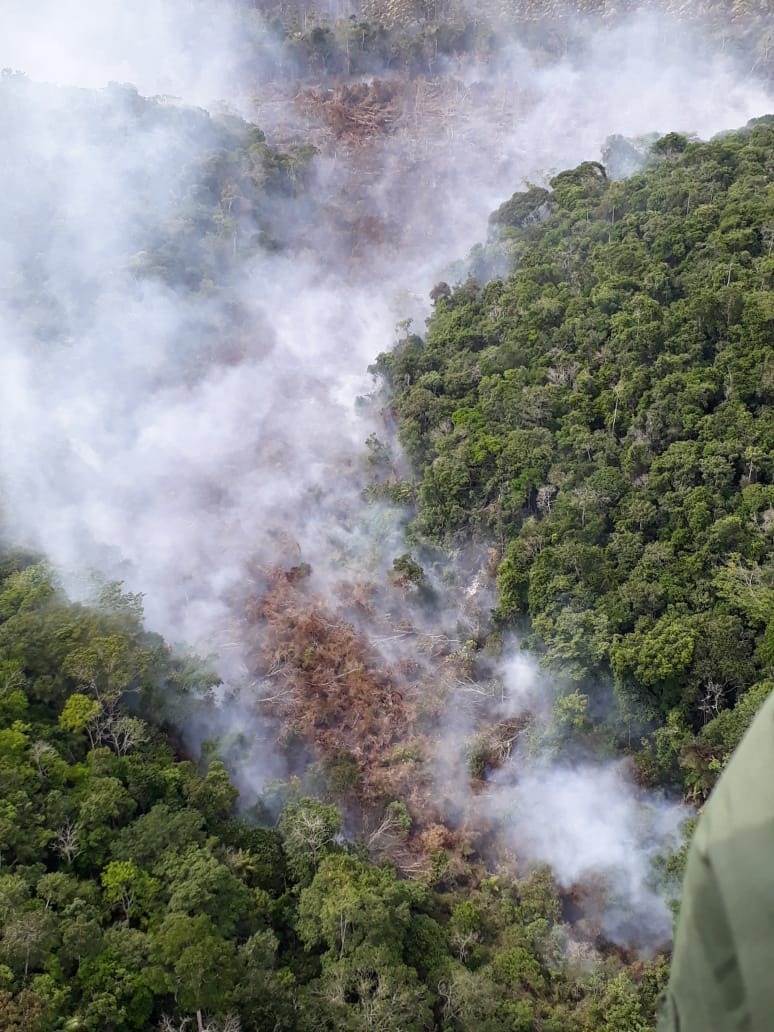 Imagens feitas durante sobrevoo em Aracruz. (Foto: Divulgação Sesp)
