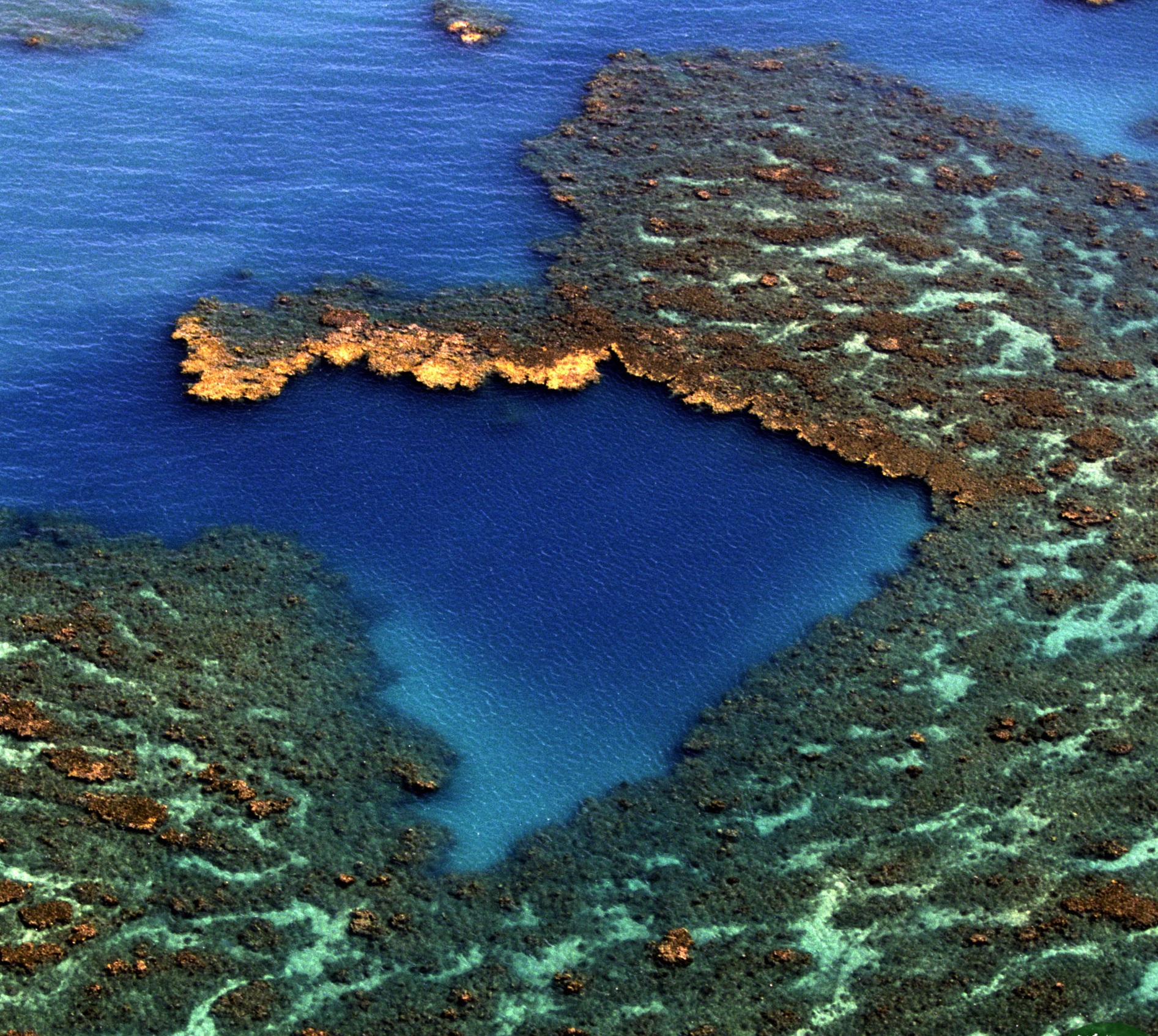 Parque Nacional dos Abrolhos (Foto: Divulgação / ICMBio)