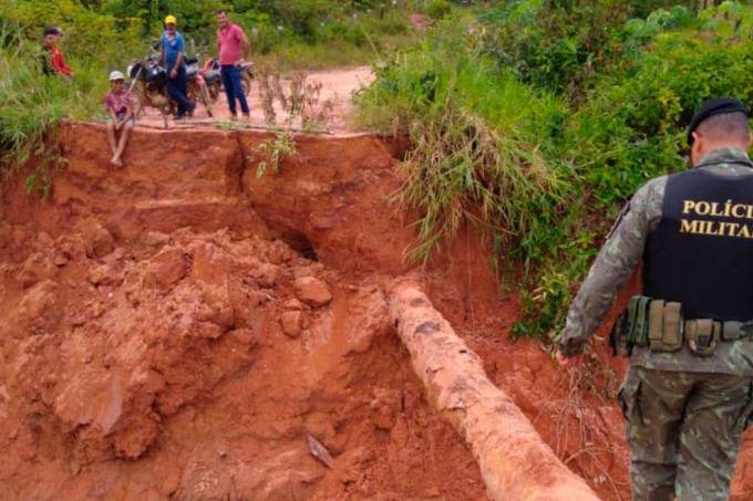 (Foto: Polícia Ambiental/Divulgação)