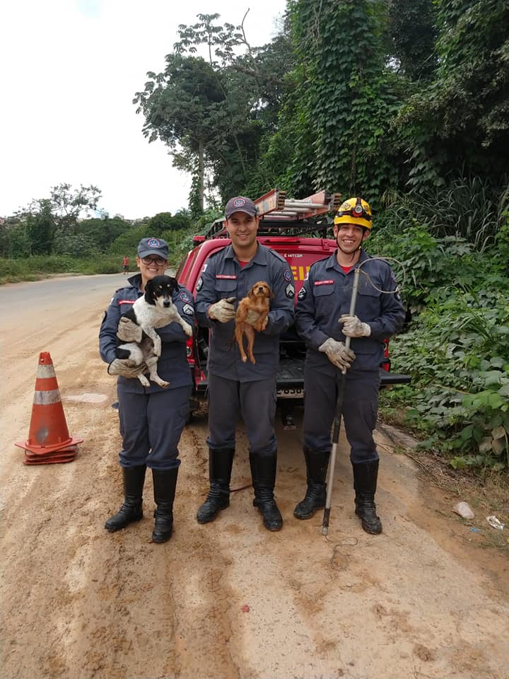 Bombeiros com o cão voluntário e o animal resgatado (Foto: Reprodução/ Facebook Corpo de Bombeiros Militar de Minas Gerais)