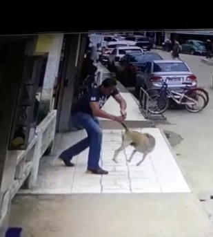 Momento em que cabeleireiro pega o cachorro pelo rabo e joga da ponte (Foto: Videomonitoramento)