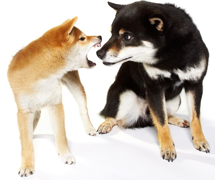 (Foto: IStock)